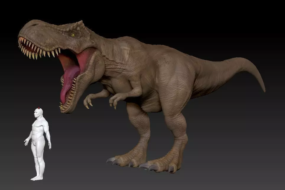 T-rex t - rex 3D model