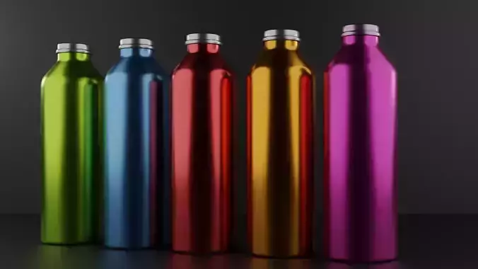 Metal Water Bottles  3D model