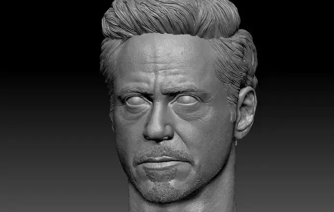 Tony Stark Iron Man  Robert Downey Jr head 3D print model