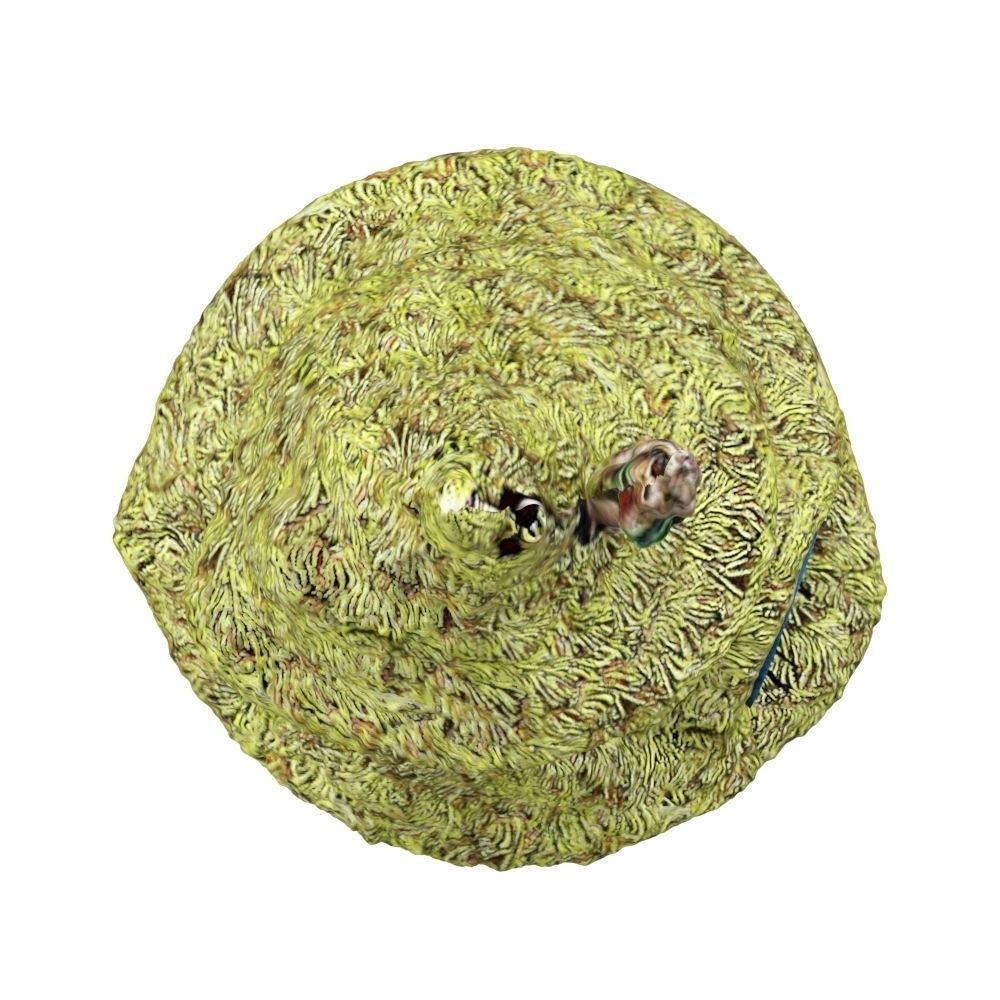 Fairy House Fairy Garden Low-poly 3D model_6