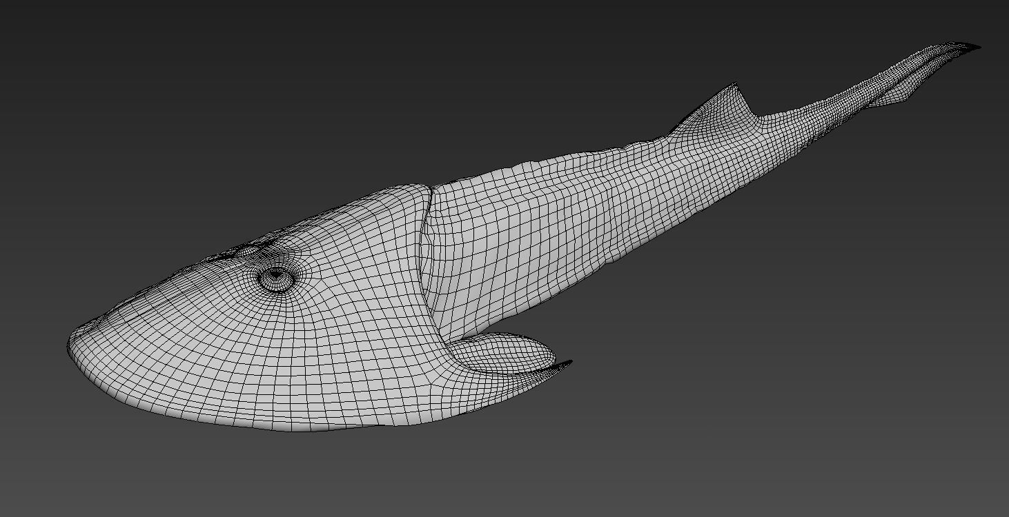 Extinct fishes Low-poly 3D model_9