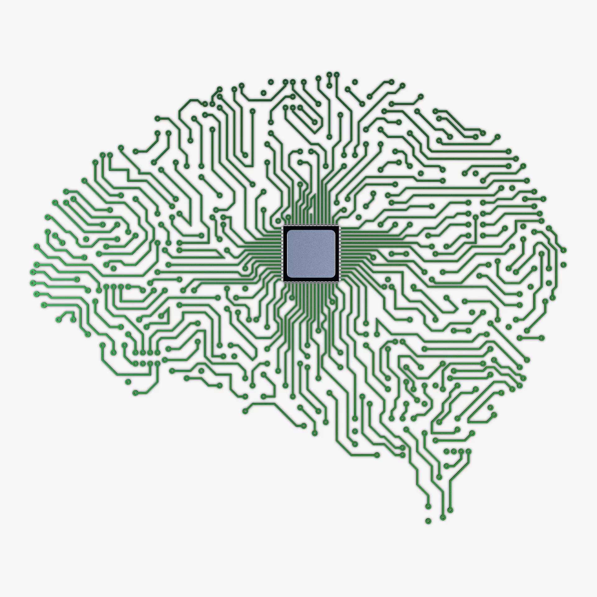 Electronic Circuit Board Brain v 1 3D model