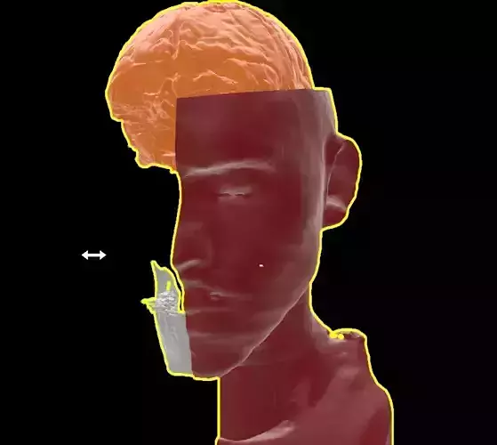 HEAD OF FELIPE LOPES MACHADO