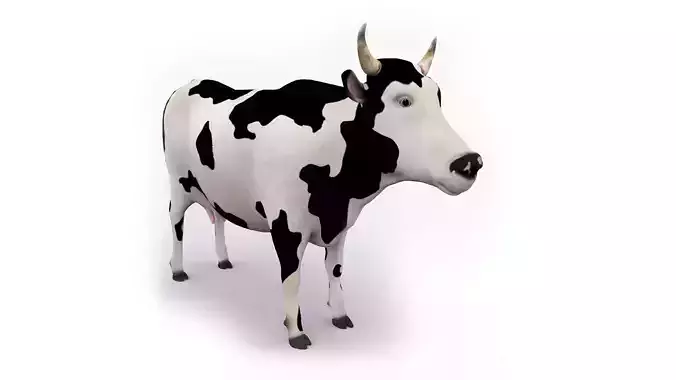 3D COW