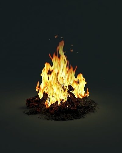 Camp Fire 3D model