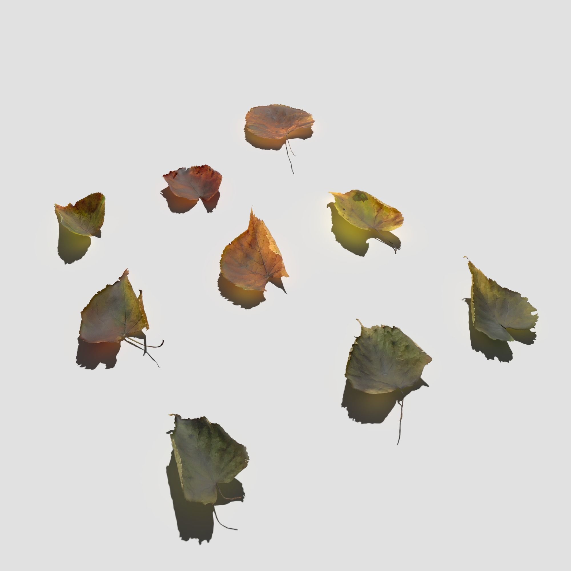 Dry Linden Leaves Pack Low-poly 3D model_2