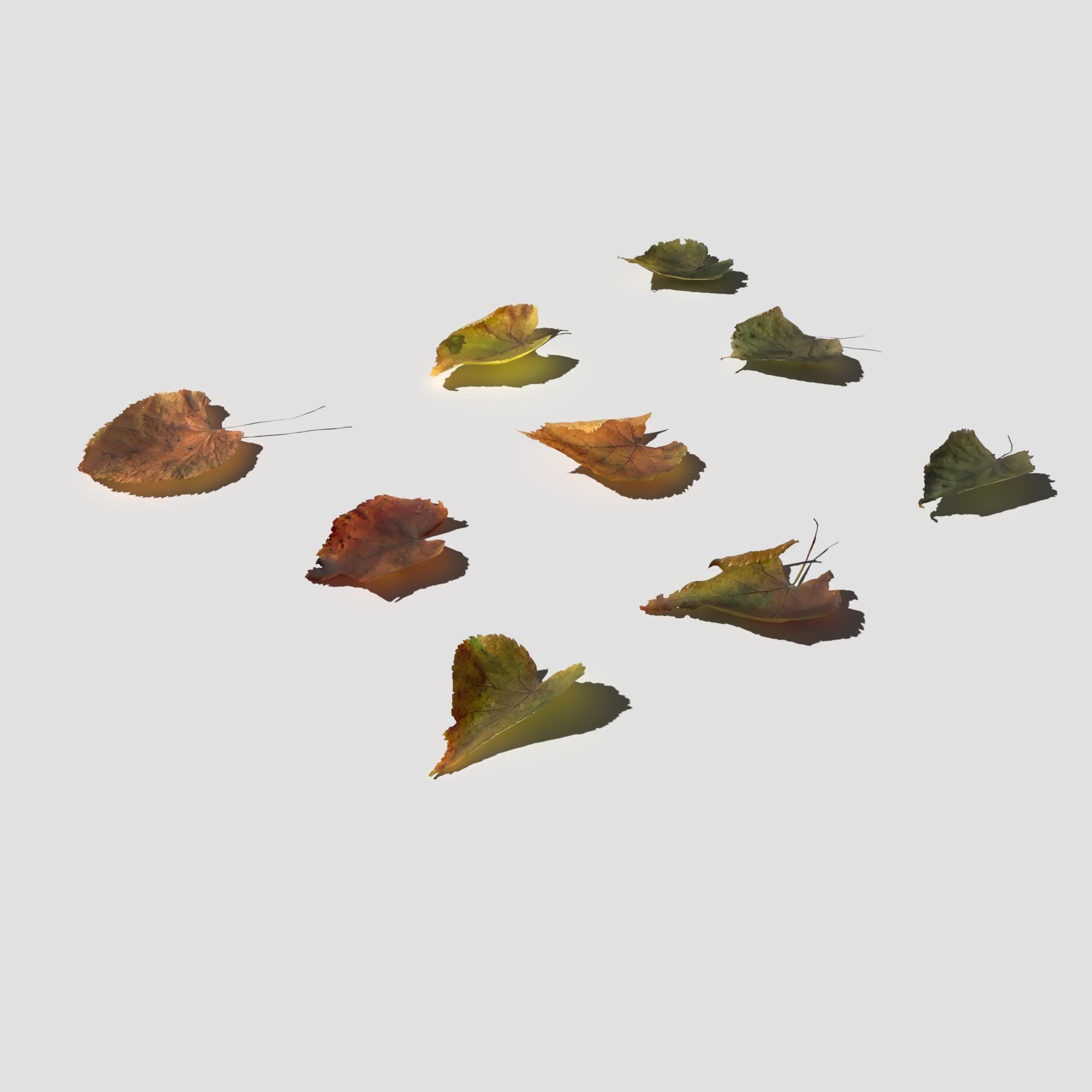 Dry Linden Leaves Pack Low-poly 3D model_8