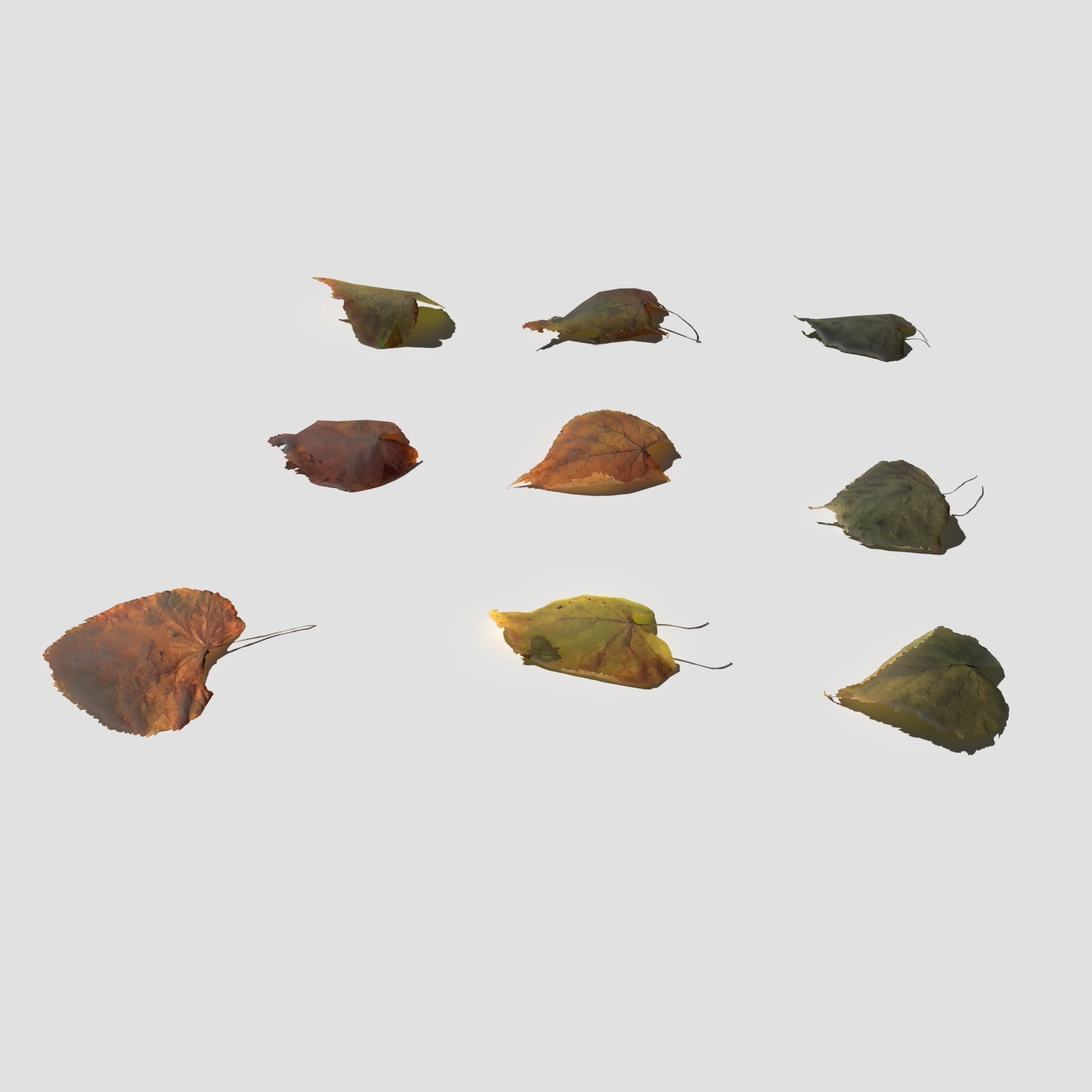 Dry Linden Leaves Pack Low-poly 3D model_18