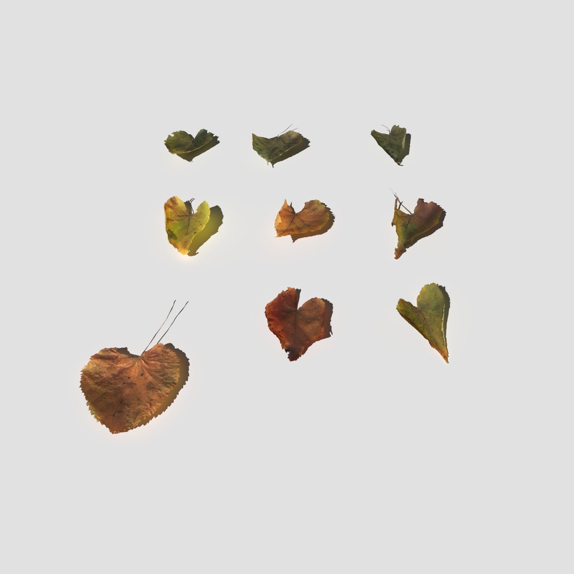 Dry Linden Leaves Pack Low-poly 3D model_7