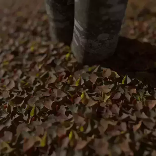 Dry Linden Leaves Pack Low-poly 3D model