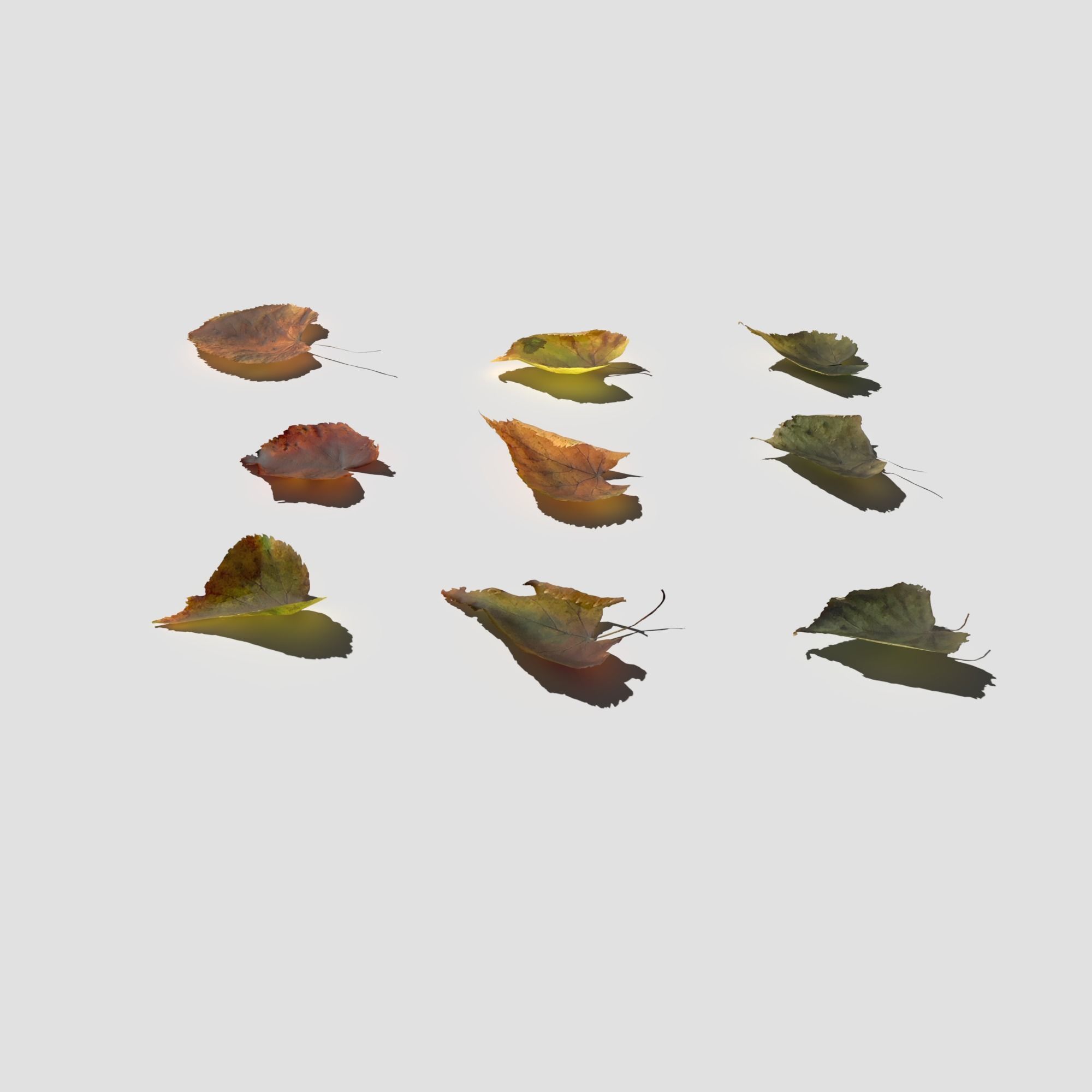 Dry Linden Leaves Pack Low-poly 3D model_9