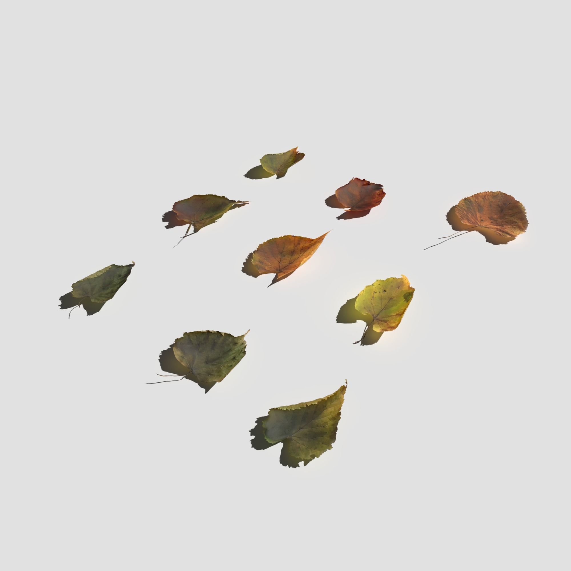 Dry Linden Leaves Pack Low-poly 3D model_4