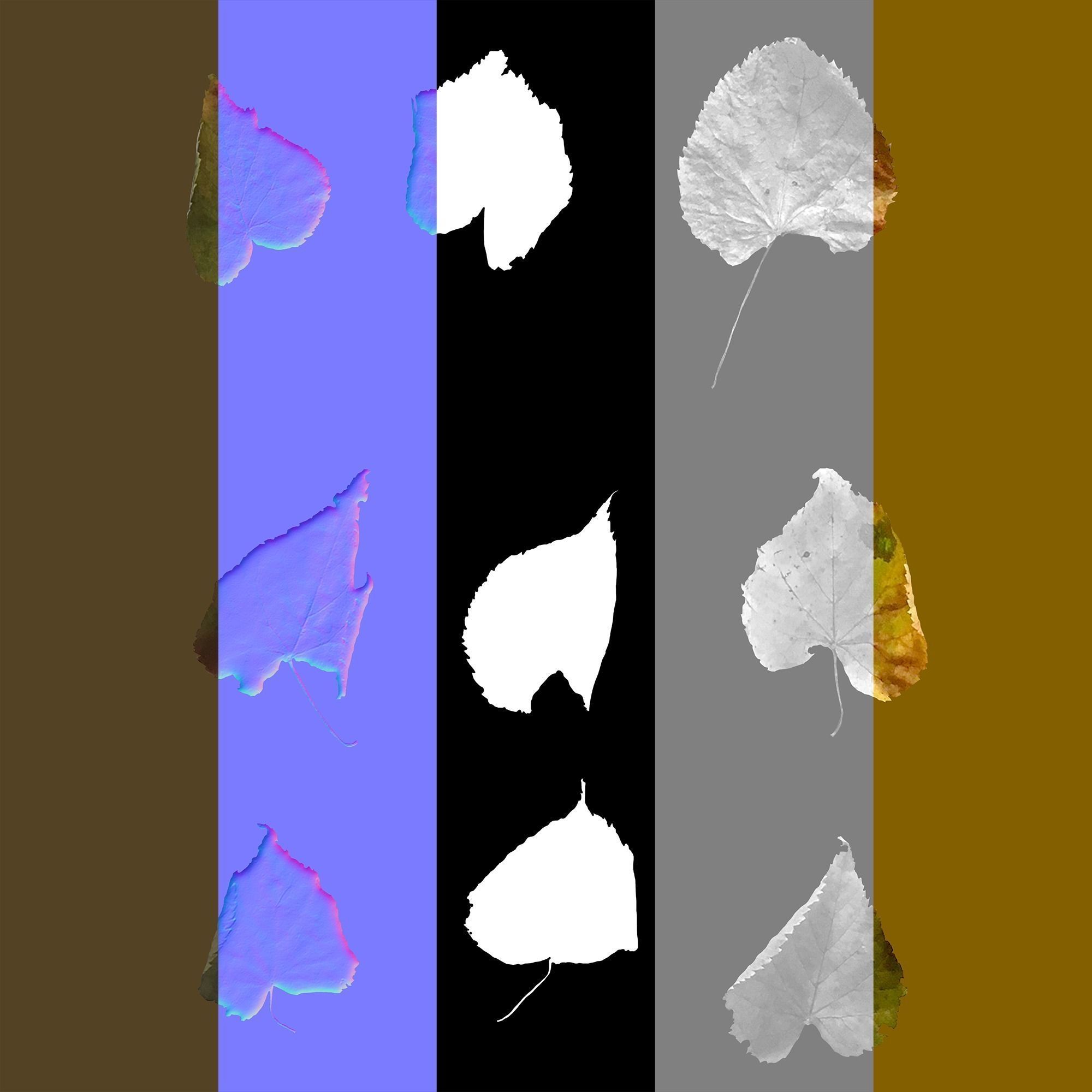 Dry Linden Leaves Pack Low-poly 3D model_21