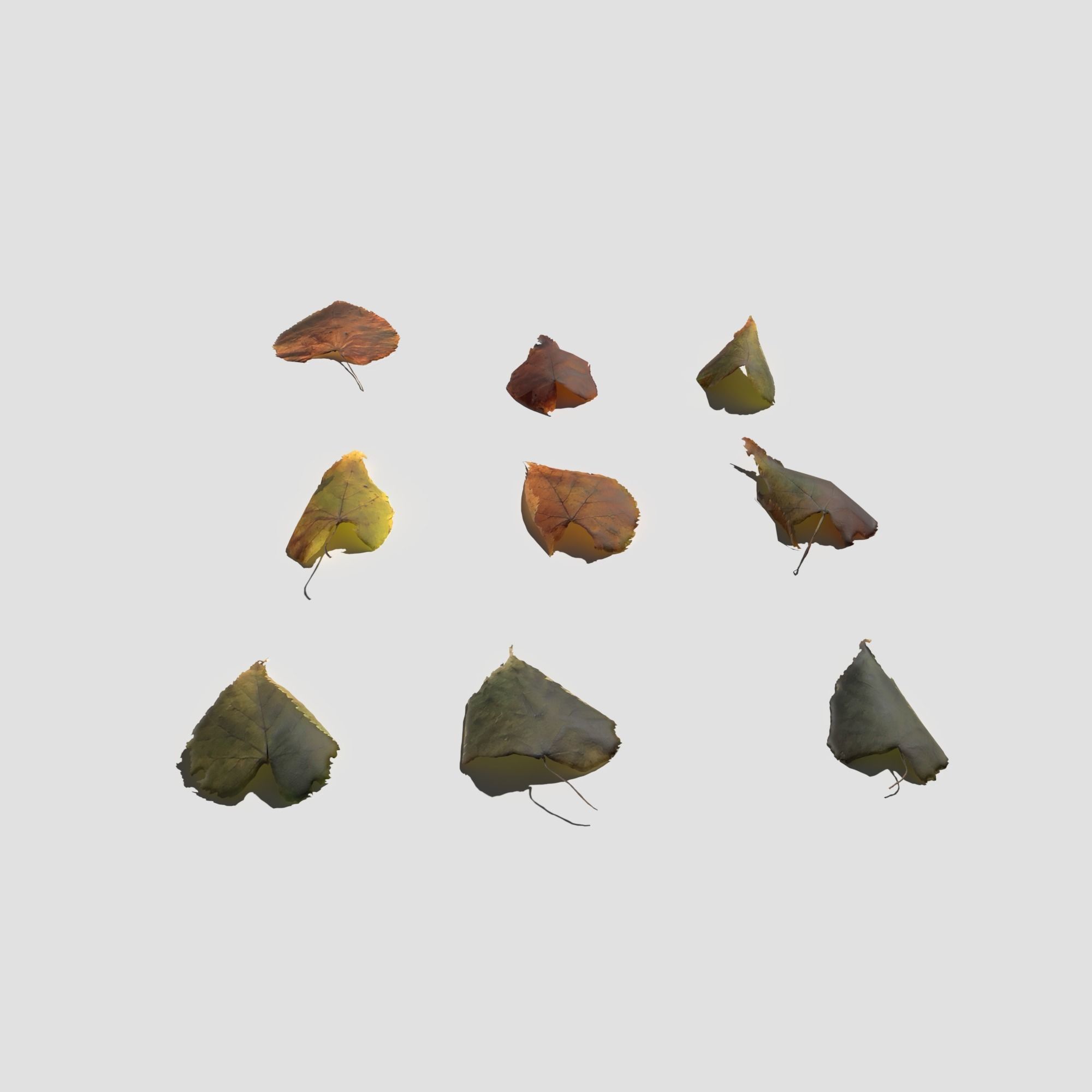 Dry Linden Leaves Pack Low-poly 3D model_12