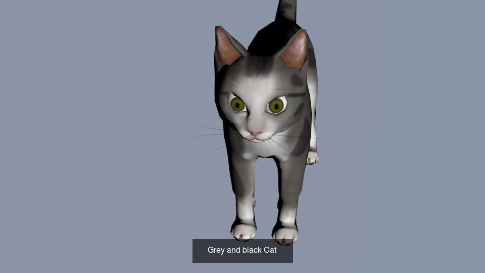 Rigged and animated Characters collection _13