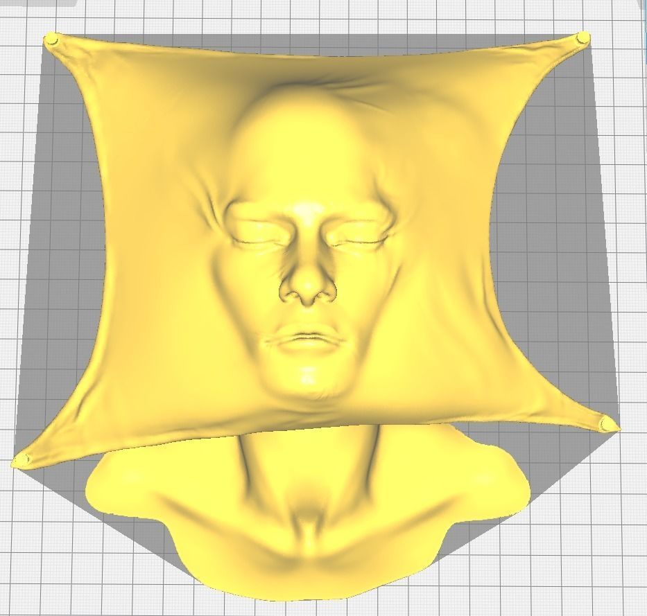 Head behind the drape sculpture 3D print model_1