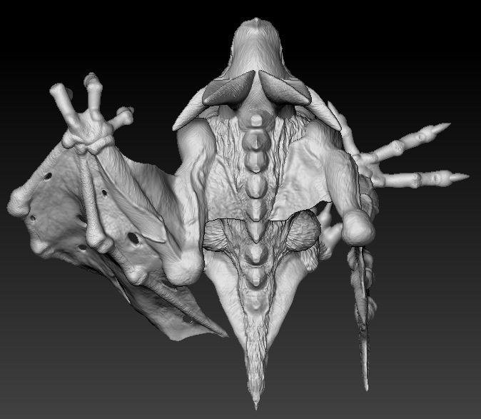 Camazotz coin with skull 3D print model_15