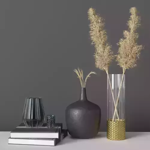 pampas Decorative set 01