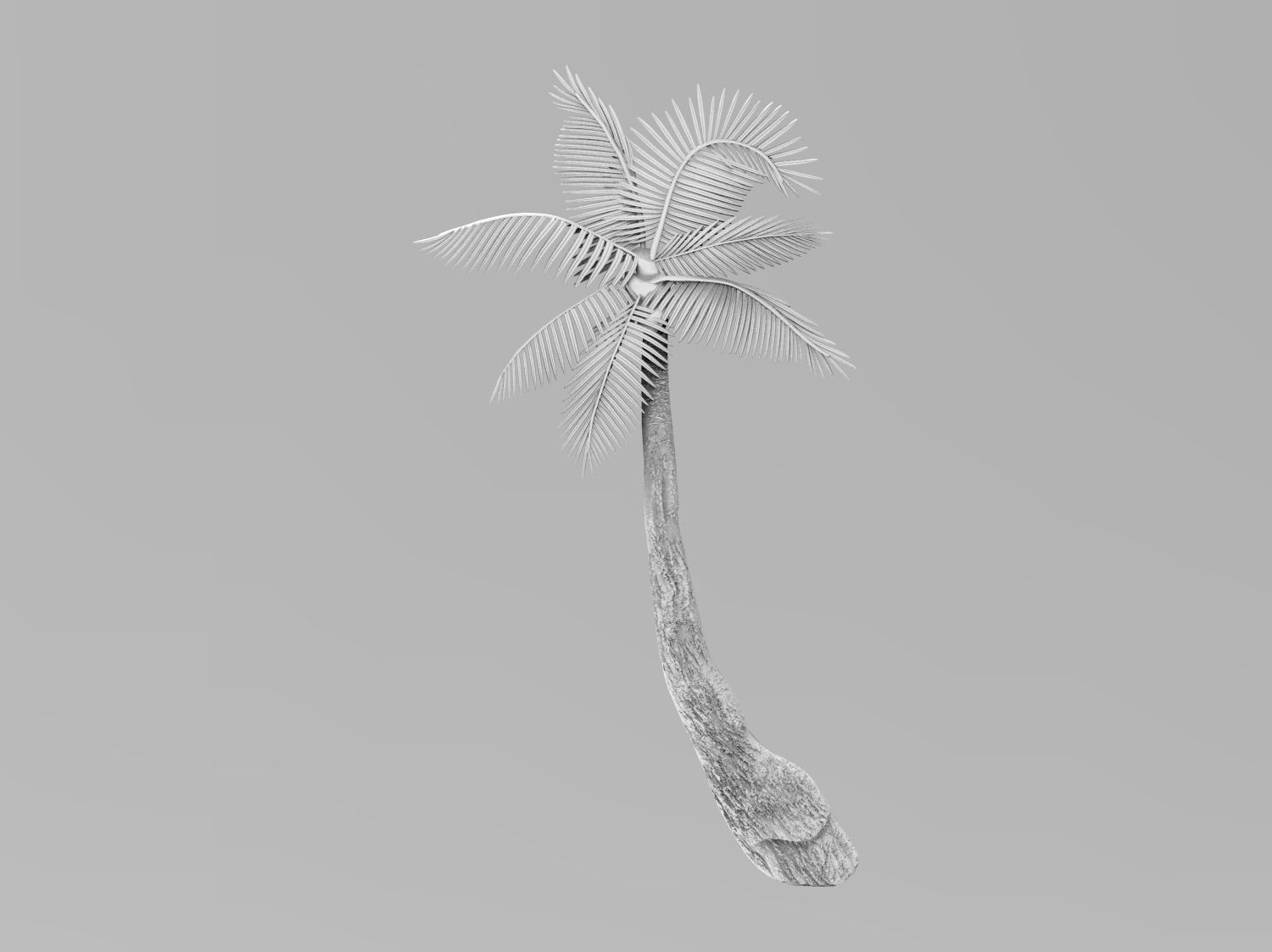 Palm tree bas relief  3D print model 3D print model_30