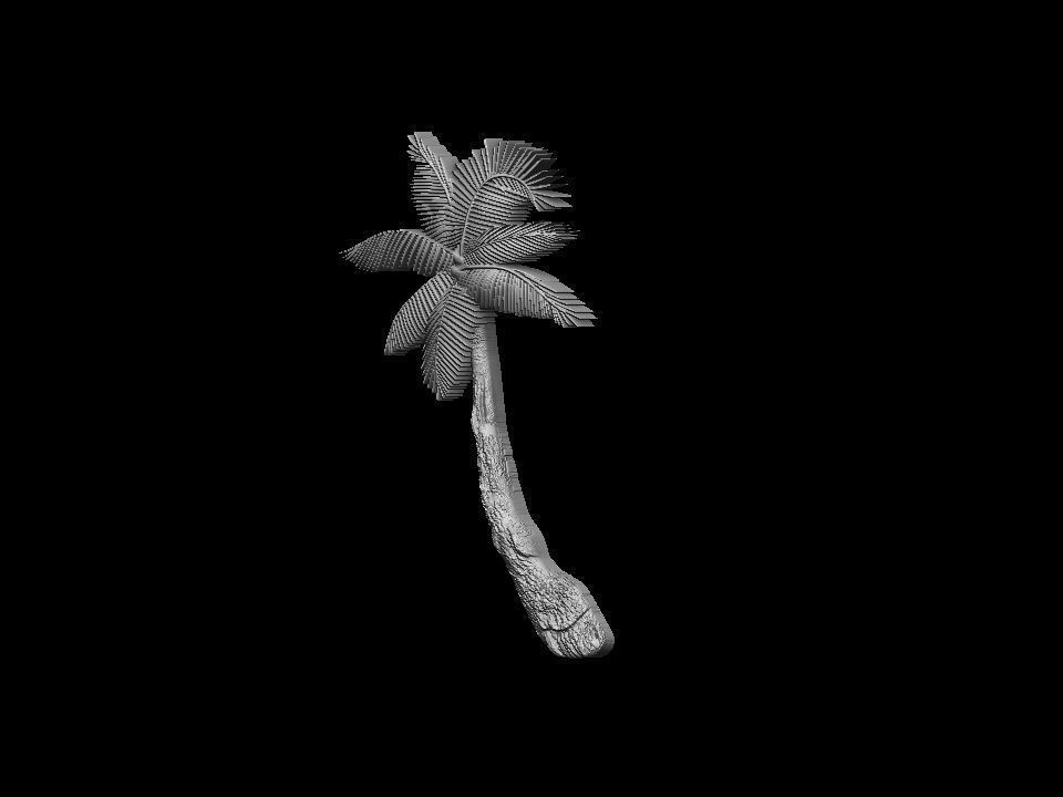 Palm tree bas relief  3D print model 3D print model_24