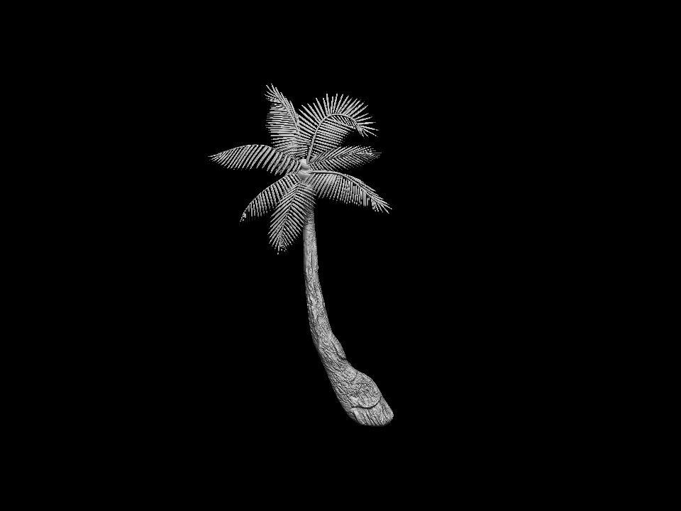 Palm tree bas relief  3D print model 3D print model_5