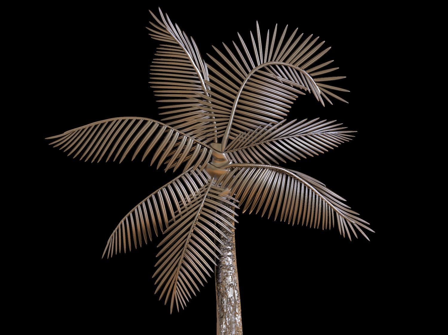Palm tree bas relief  3D print model 3D print model_22