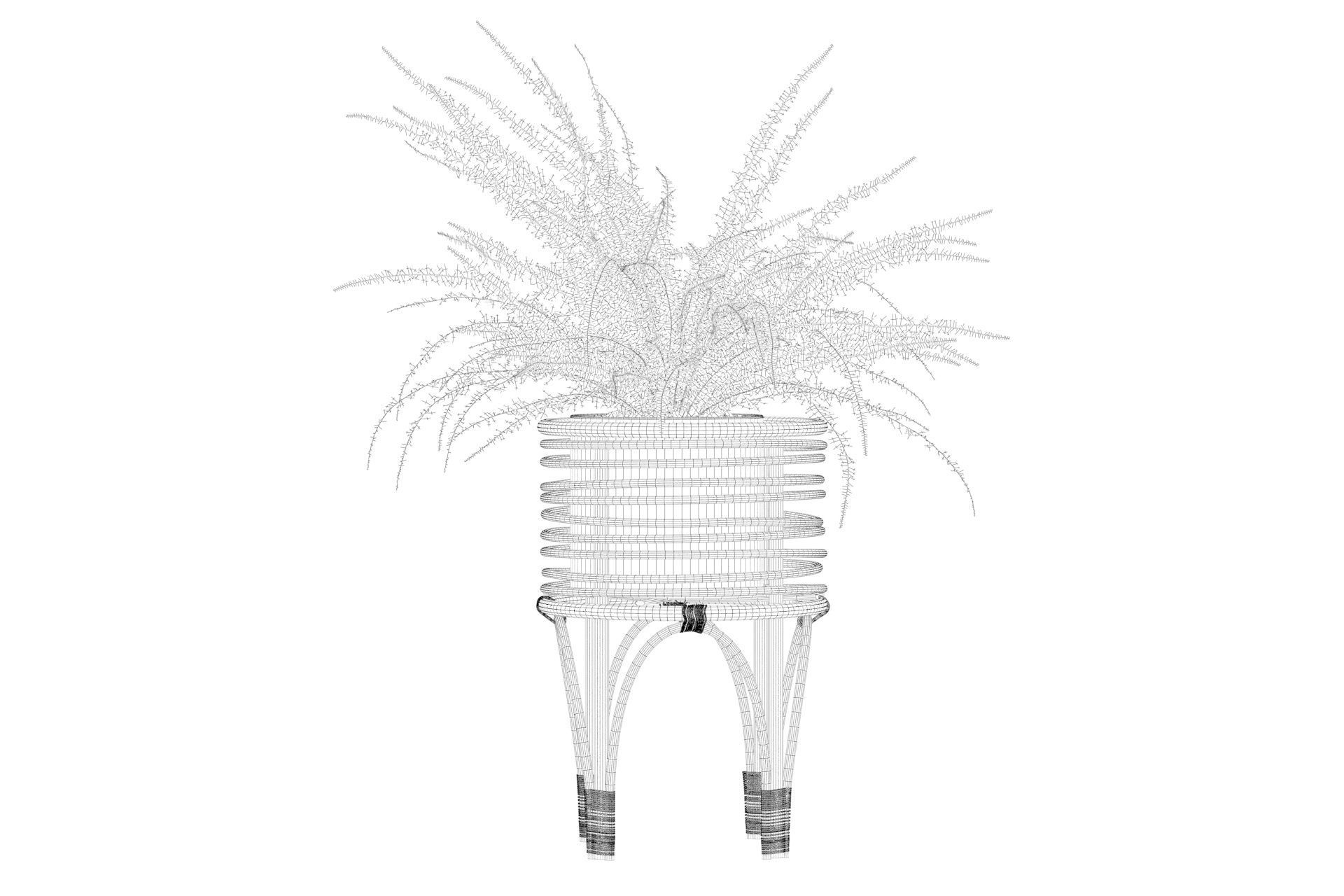 Fern in rattan stand 3D model_31