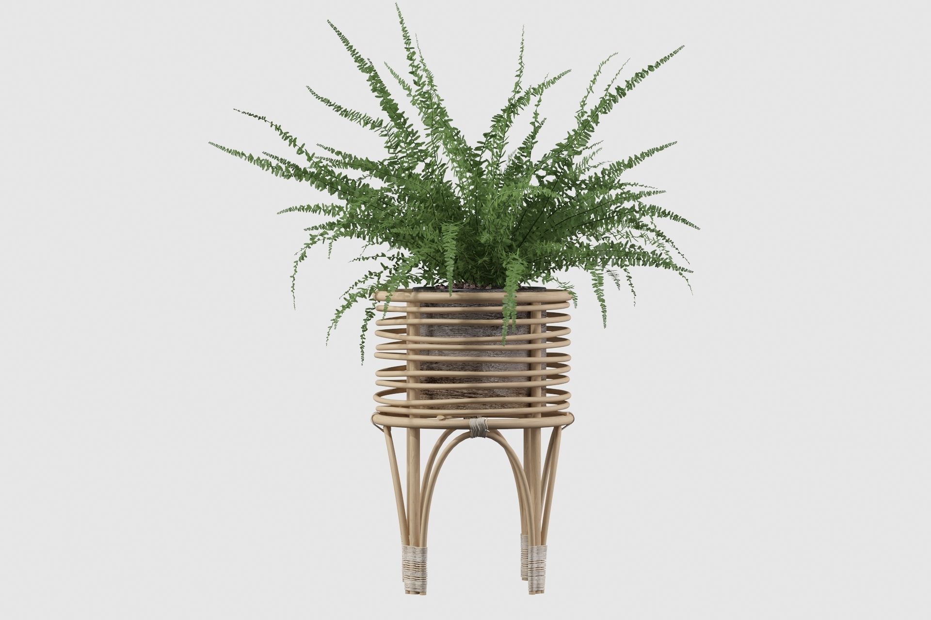 Fern in rattan stand 3D model_18