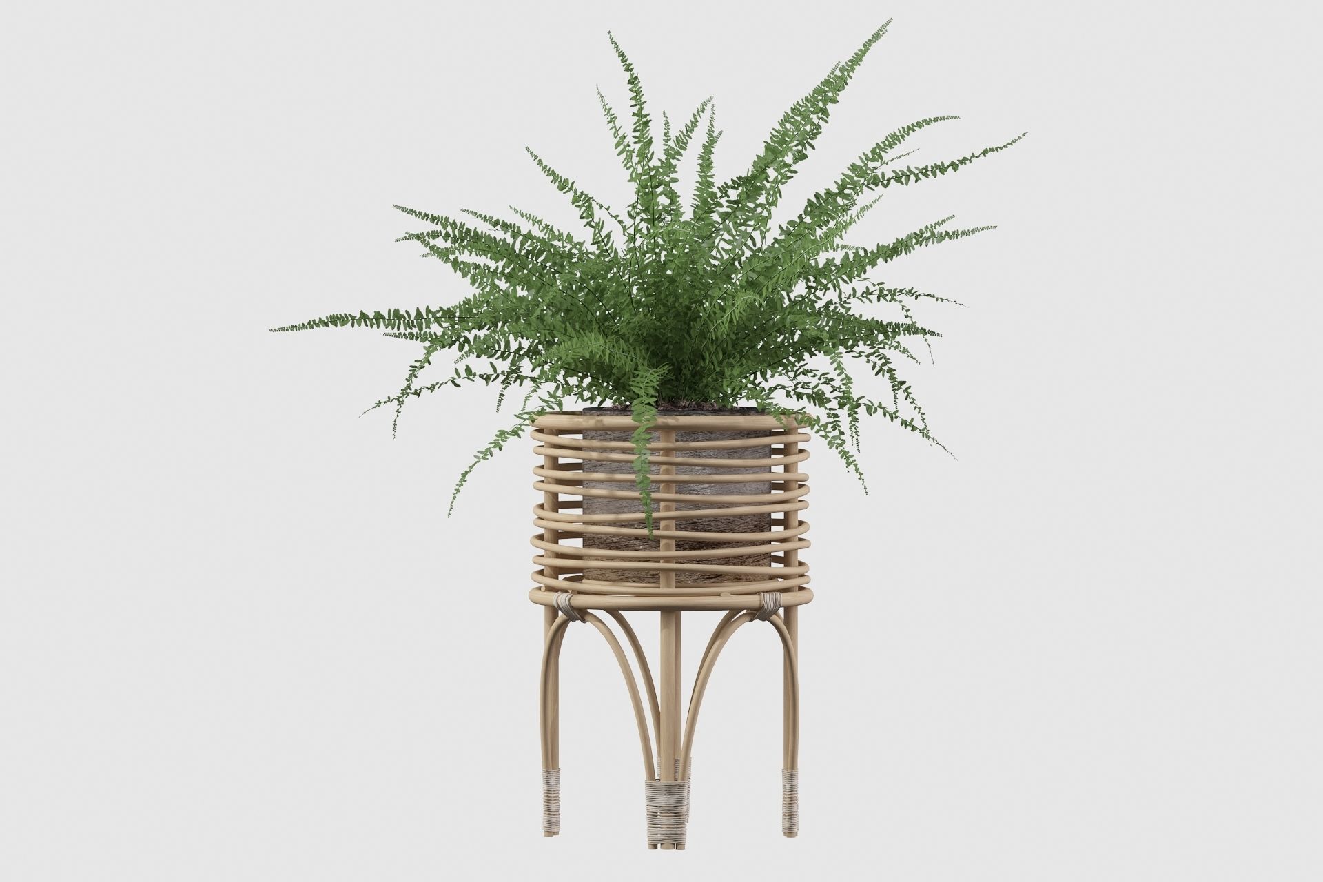 Fern in rattan stand 3D model_25