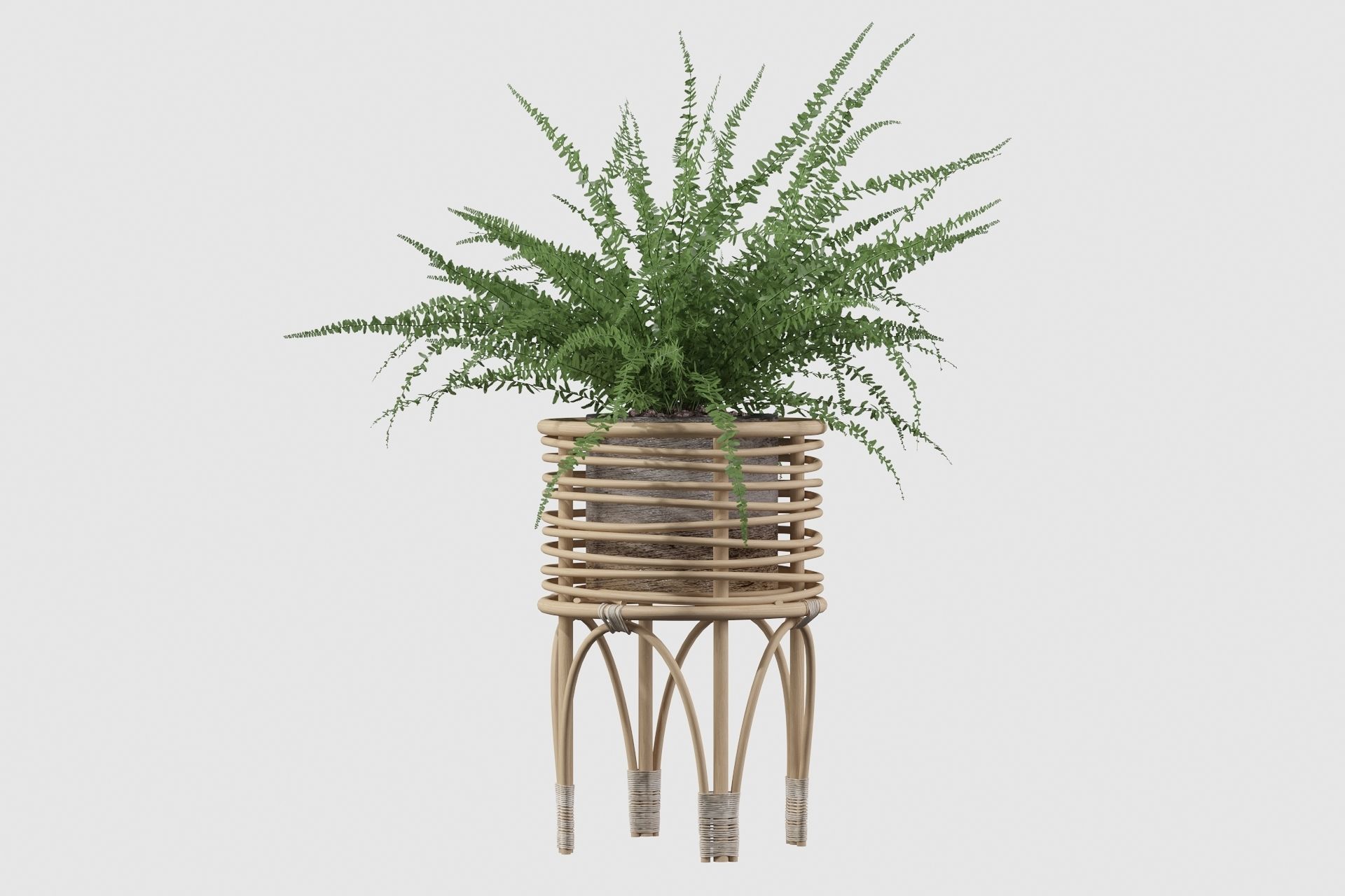 Fern in rattan stand 3D model_27