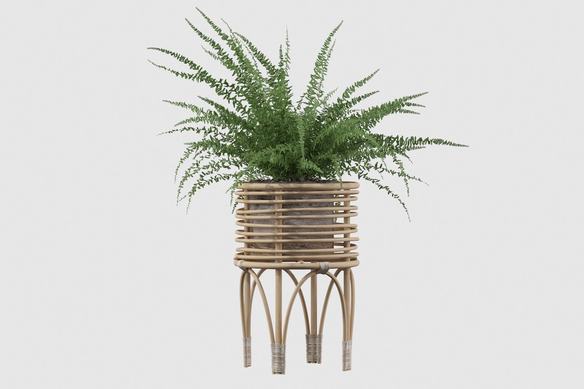 Fern in rattan stand 3D model_15