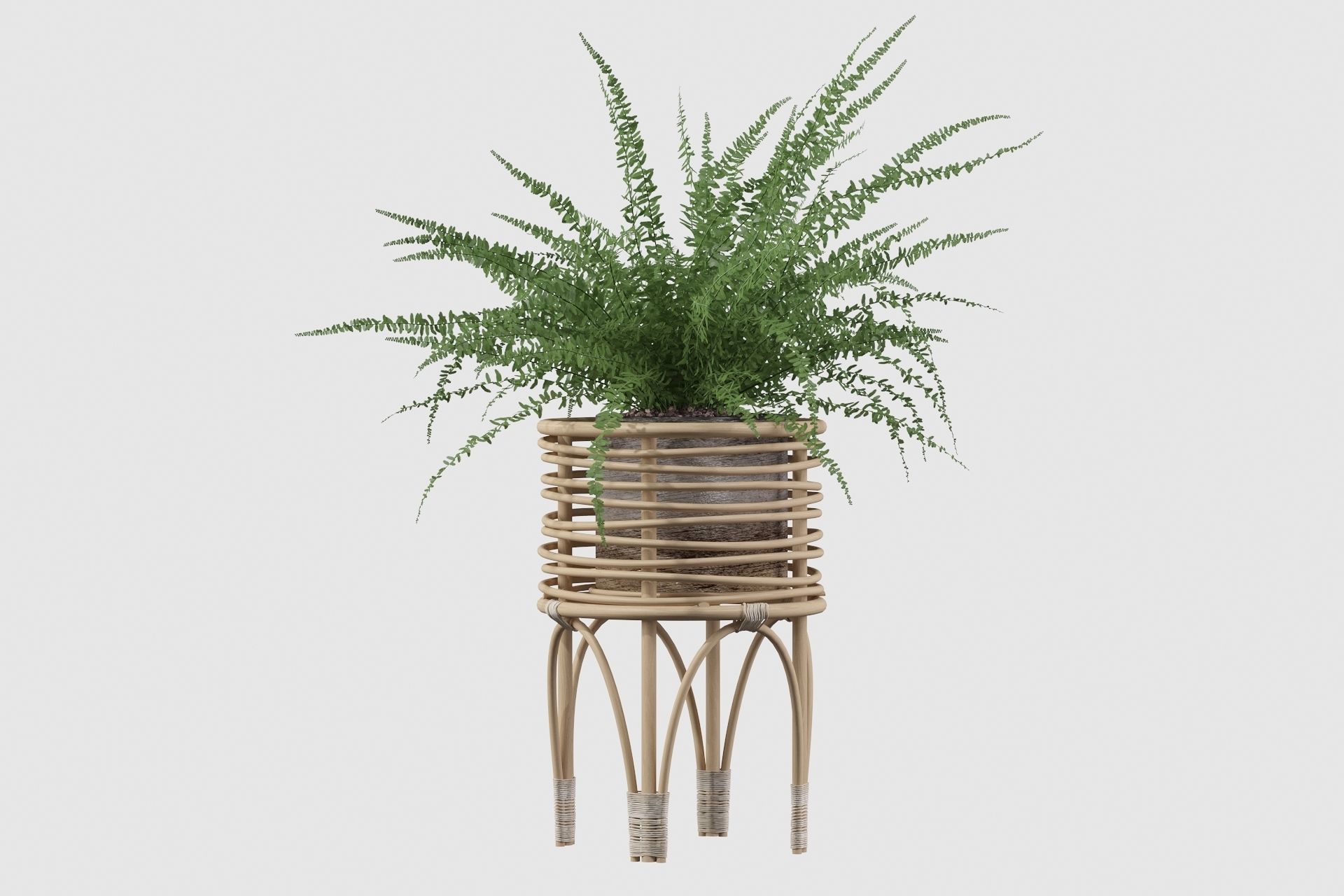 Fern in rattan stand 3D model_24