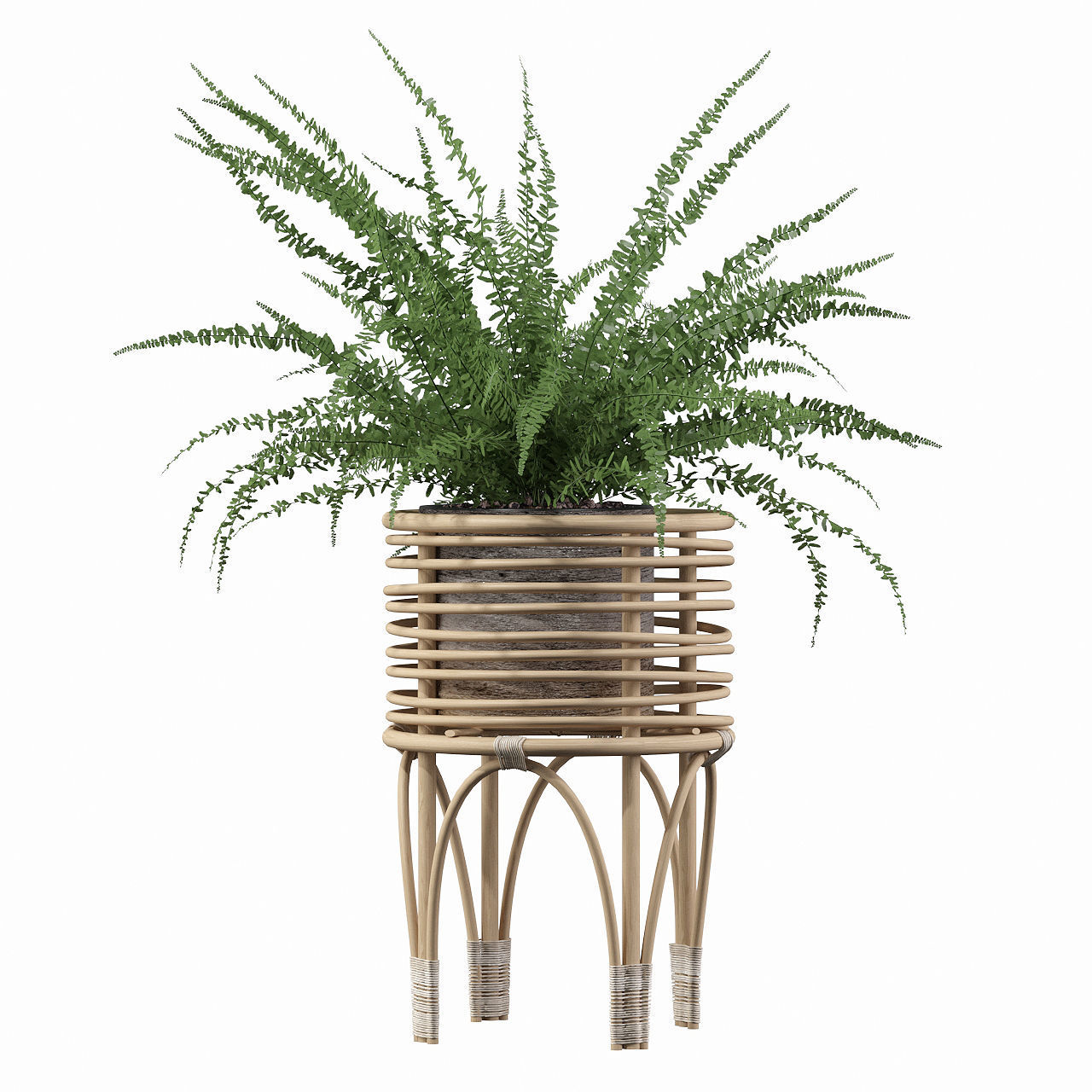 Fern in rattan stand 3D model_3
