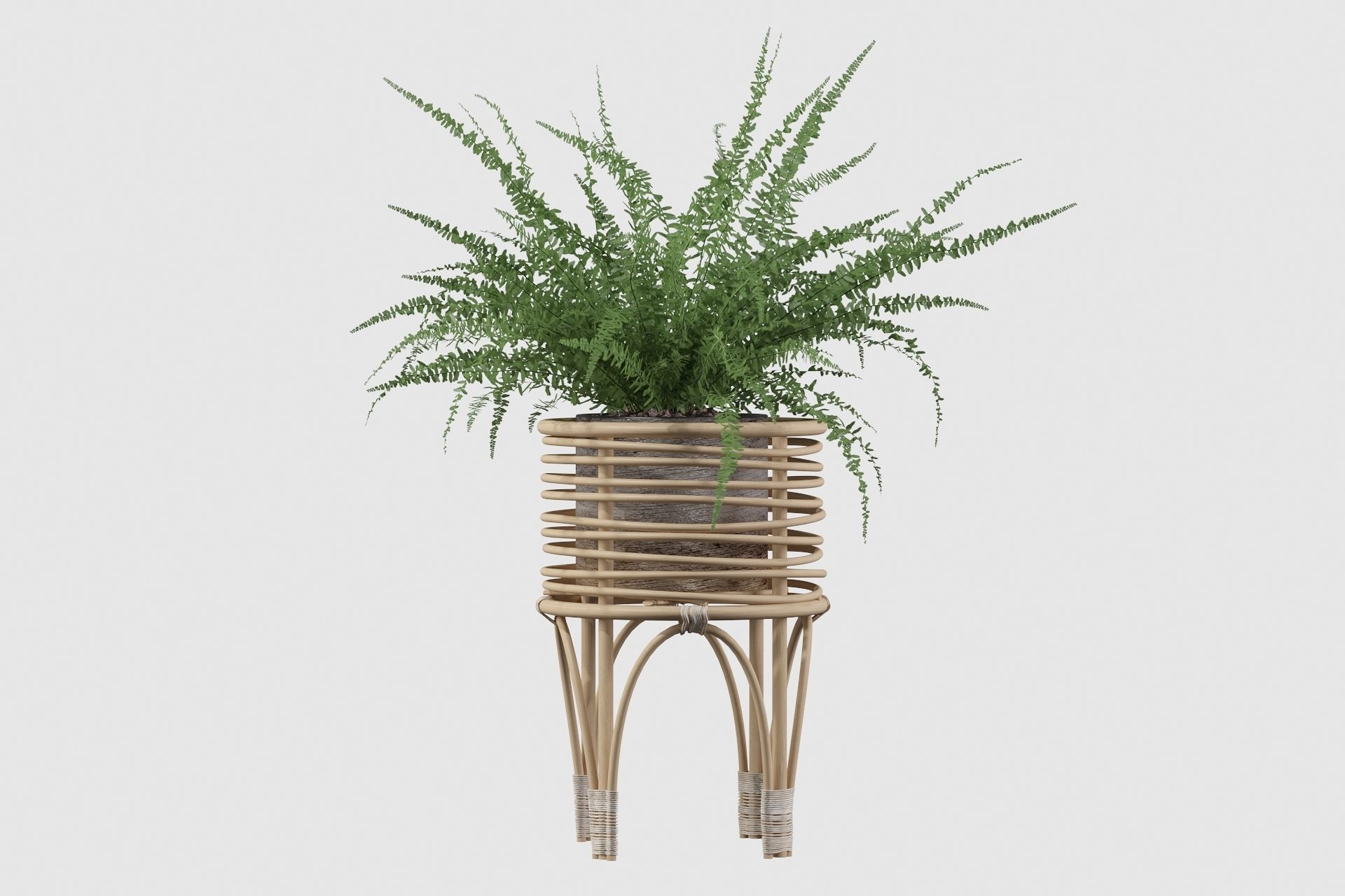 Fern in rattan stand 3D model_9
