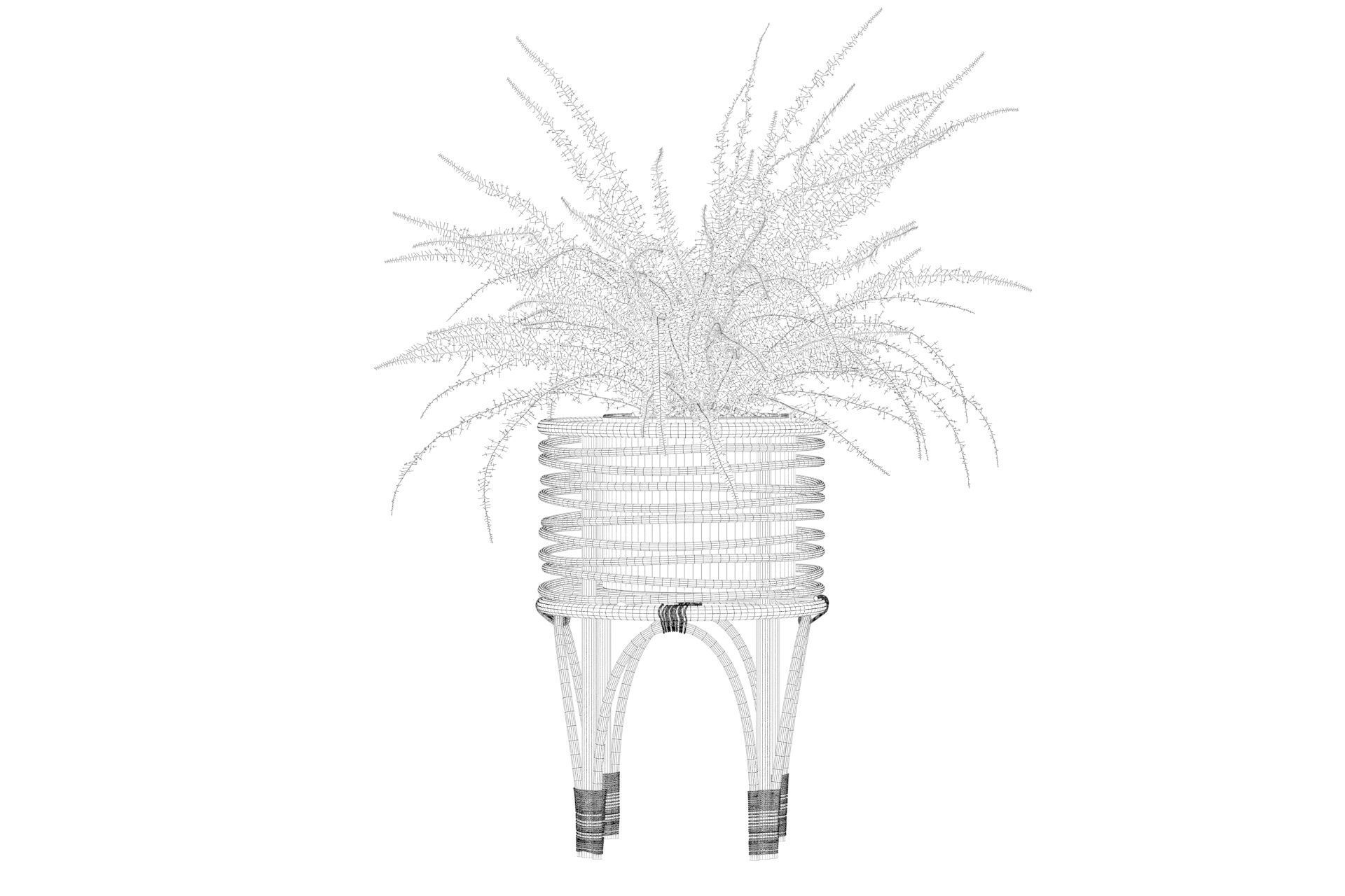 Fern in rattan stand 3D model_32