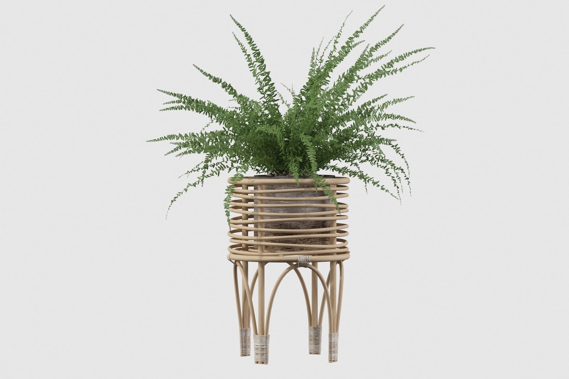 Fern in rattan stand 3D model_23