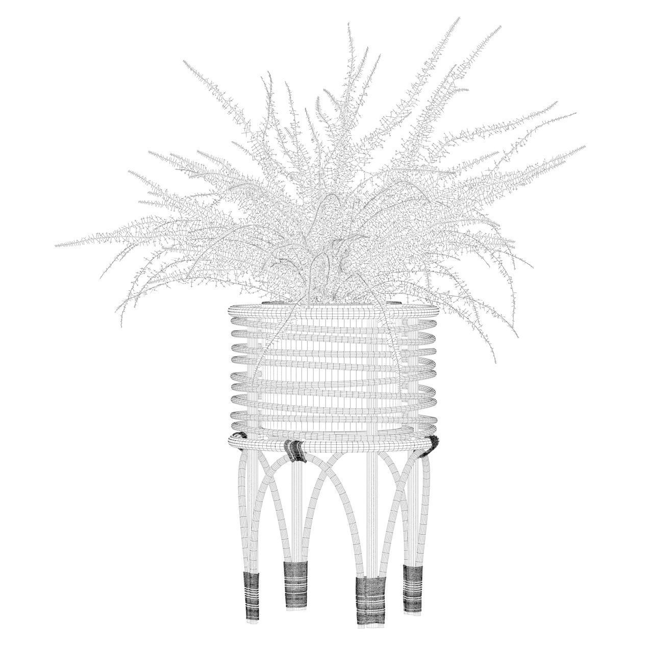 Fern in rattan stand 3D model_4