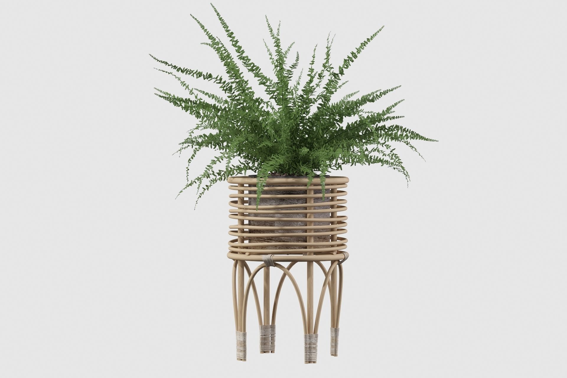 Fern in rattan stand 3D model_17