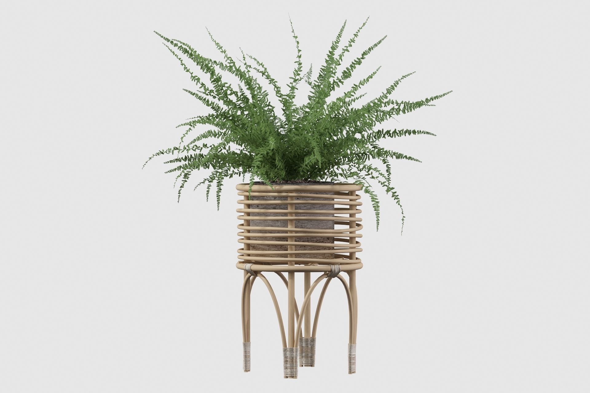 Fern in rattan stand 3D model_11
