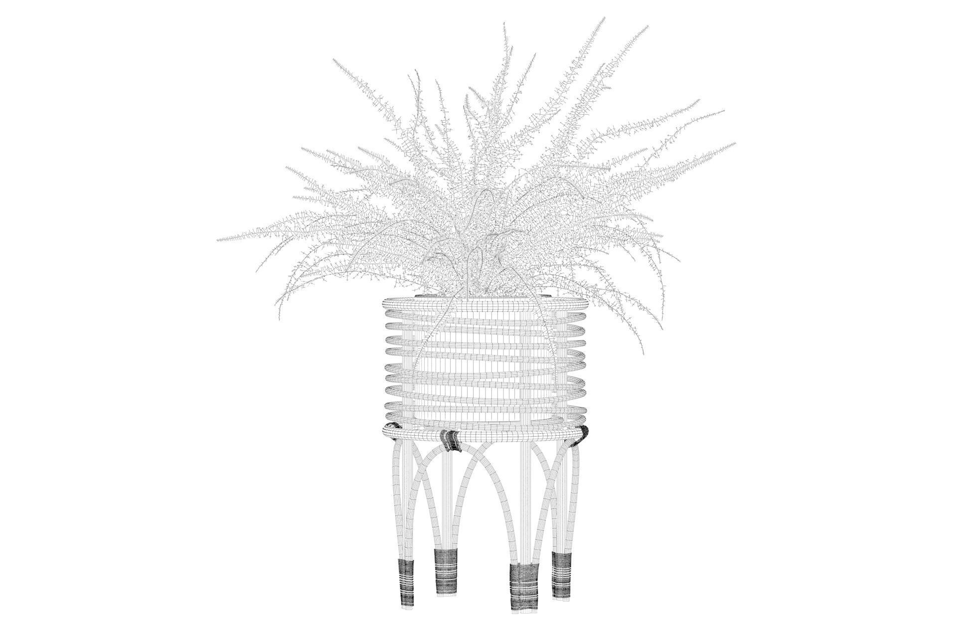 Fern in rattan stand 3D model_30