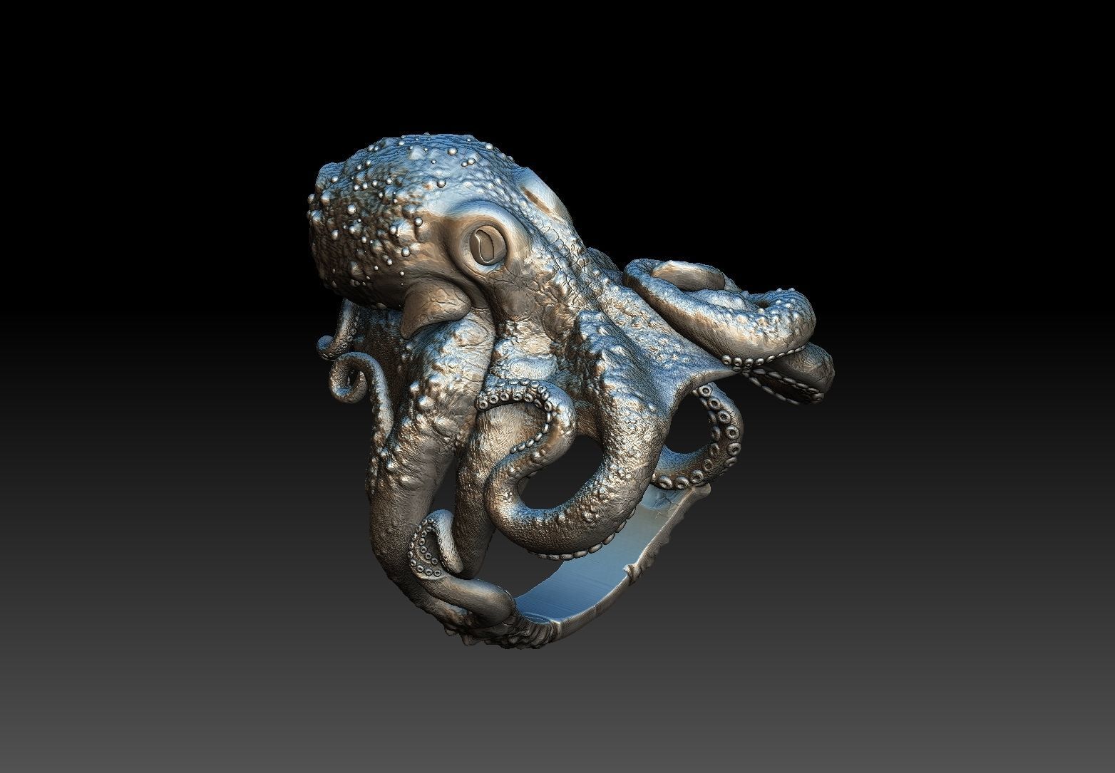 Octopus ring 3d model 3D print model  3D print model_12