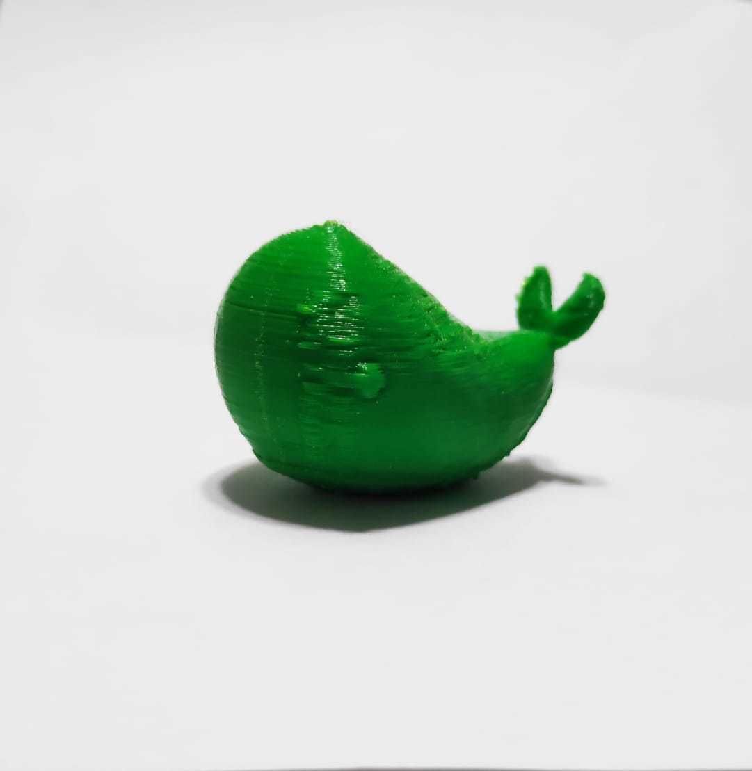 Cute Whale 3D print model_3