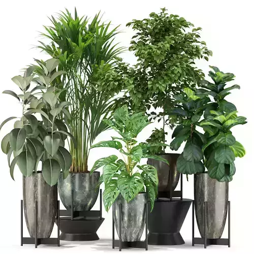Plants collection 360 3D model