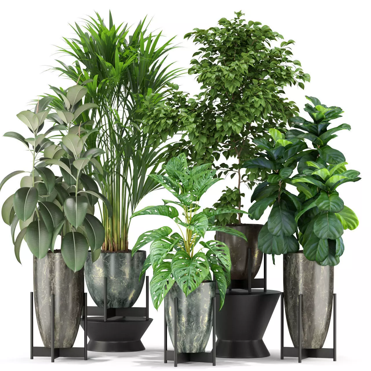 Plants collection 360 3D model