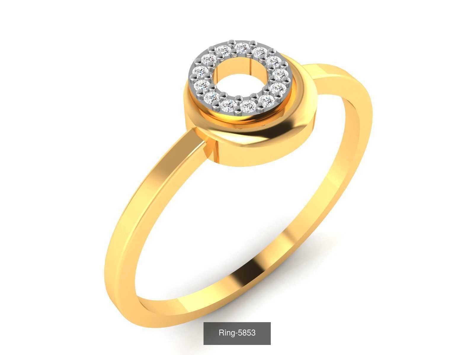 355 Light wt rings  3D Model Collection_119