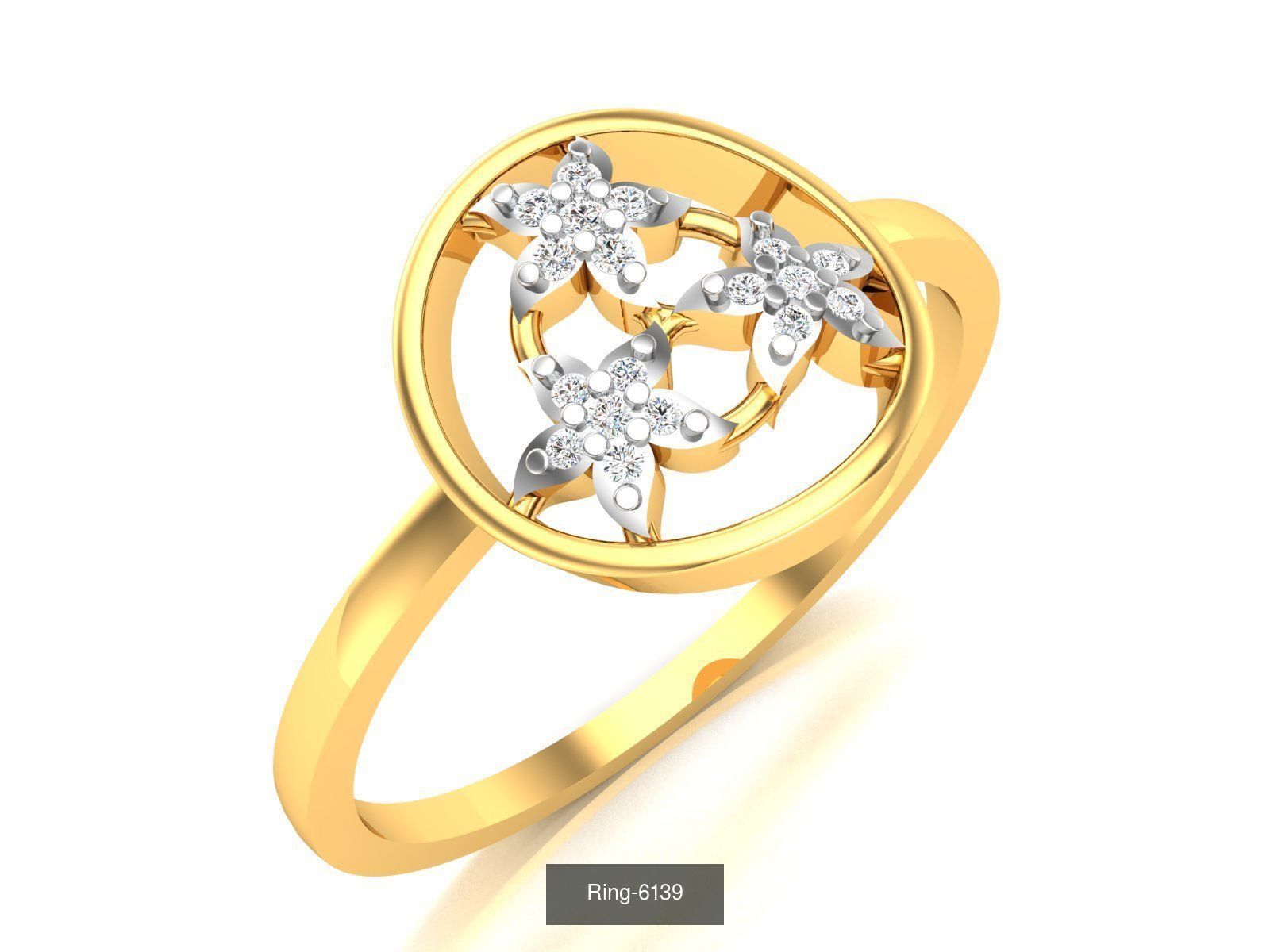 355 Light wt rings  3D Model Collection_179