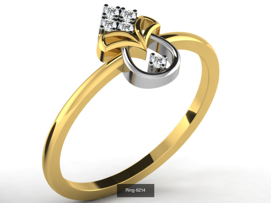 355 Light wt rings  3D Model Collection_147