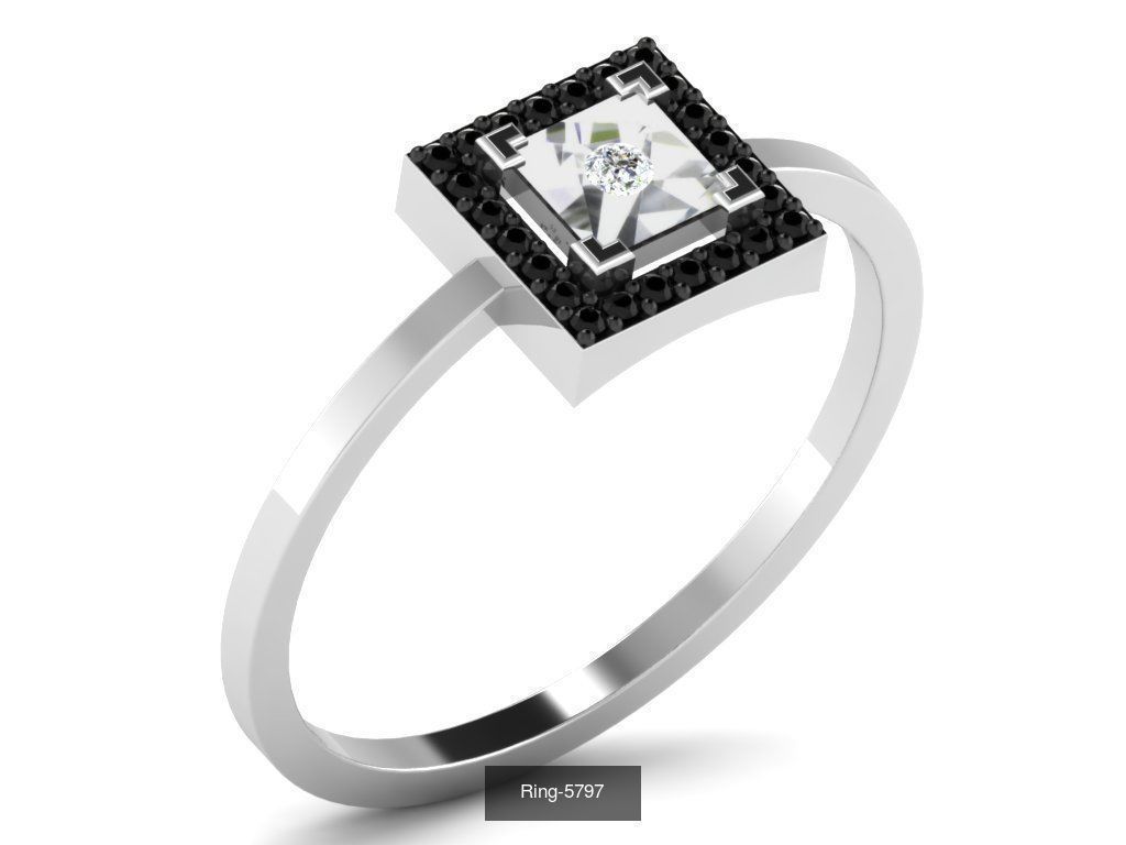 355 Light wt rings  3D Model Collection_131