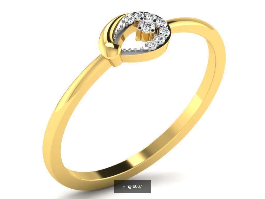 355 Light wt rings  3D Model Collection_206