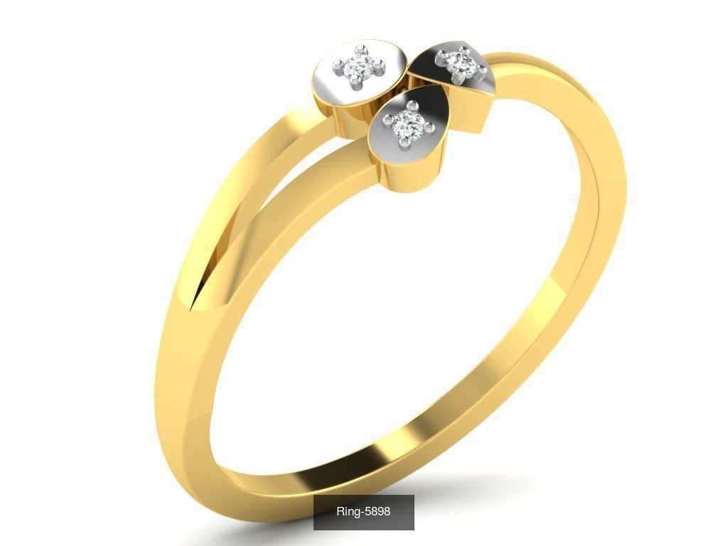 355 Light wt rings  3D Model Collection_100